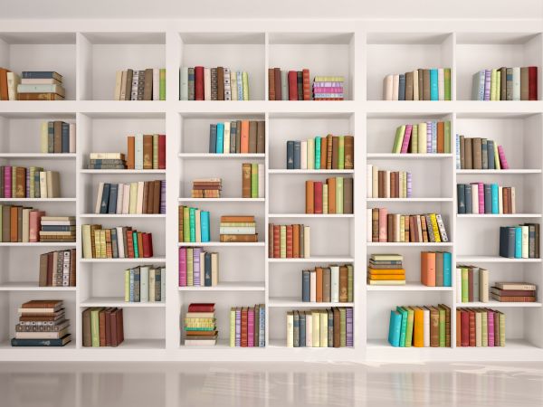 Bookshelf Assembly in Arroyo Grande